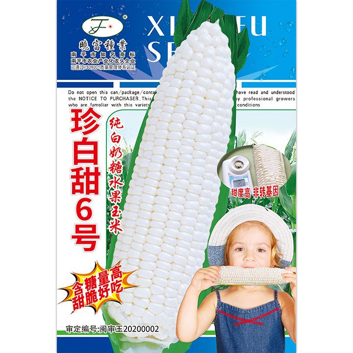珍白甜6號(hào)